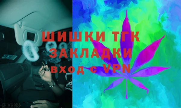 ПСИЛОЦИБИНОВЫЕ ГРИБЫ Верхний Тагил