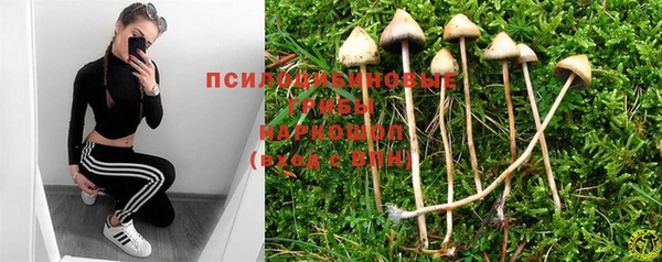 мескалин Бородино