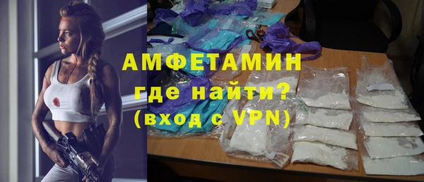шишки Богородицк