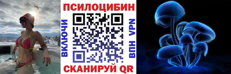 Галлюциногенные грибы мицелий закладки Заполярный